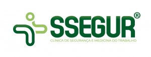 logo-ssegur